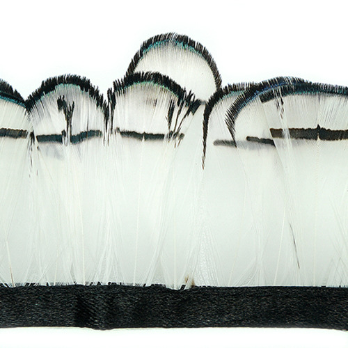 흑백 롤 깃털(30cm)