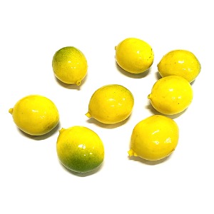 레몬 모형(3종-10개)