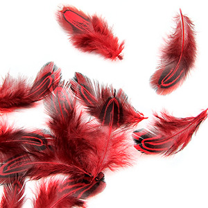빨강 무늬깃털(10개)